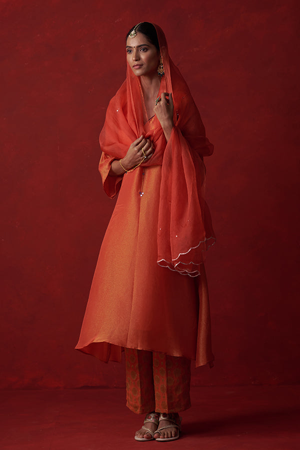 Kausumbha Sheesh Tissue Suit
