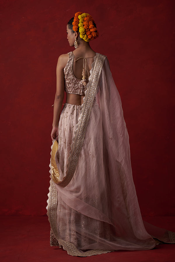 Kāñcanīya Tissue Silk Lehenga ( 20 kali)