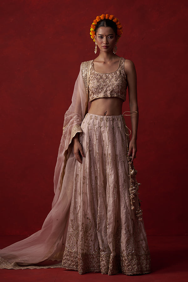 Kāñcanīya Tissue Silk Lehenga ( 20 kali)