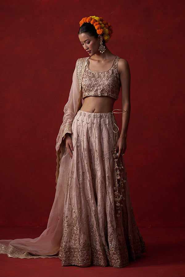Kāñcanīya Tissue Silk Lehenga ( 20 kali)