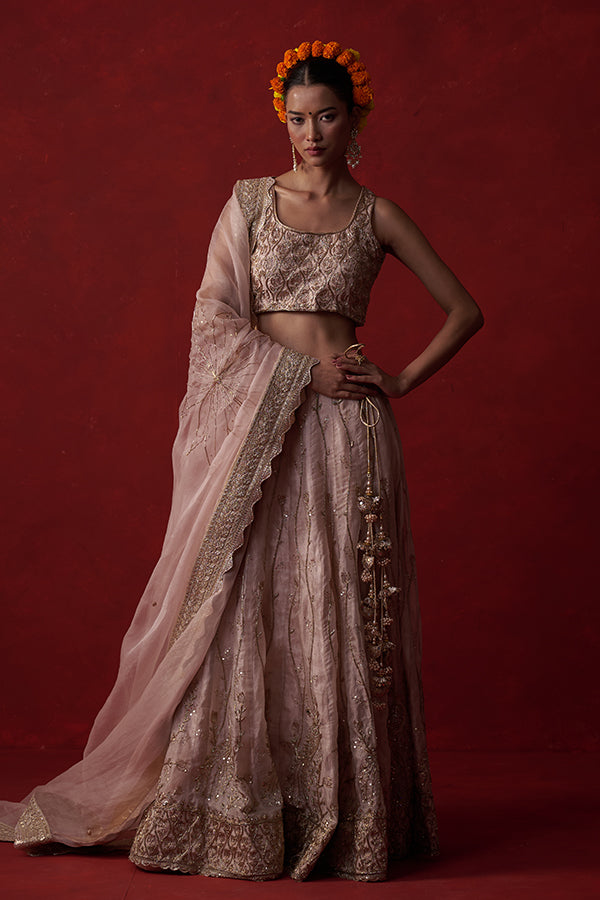 Kāñcanīya Tissue Silk Lehenga ( 20 kali)