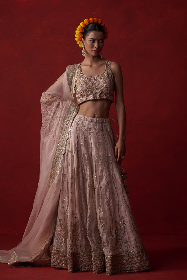 Kāñcanīya Tissue Silk Lehenga ( 20 kali)