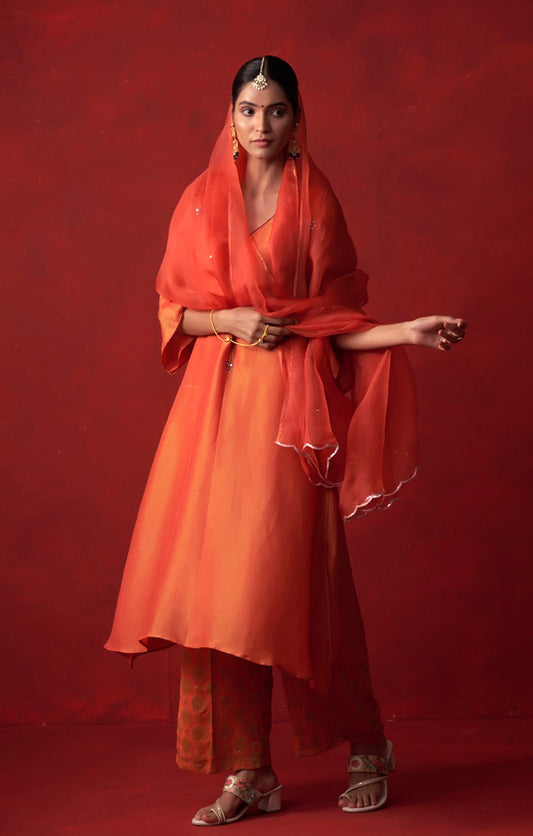 Kausumbha Sheesh Tissue Suit