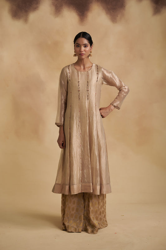Zari Tissue Silk Anarkali Suit