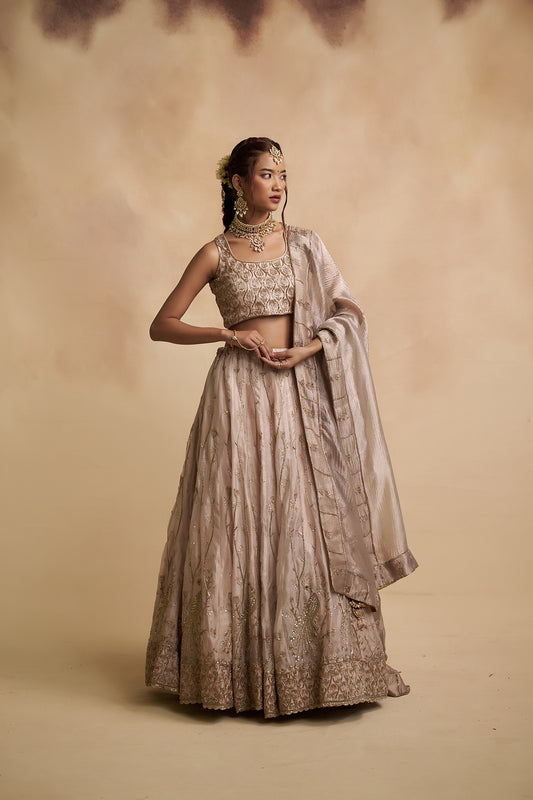 Ivory Tissue Silk Lehenga